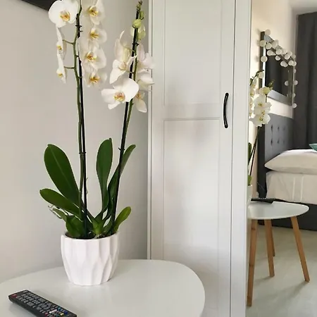Stena Apartament 格丁尼亚